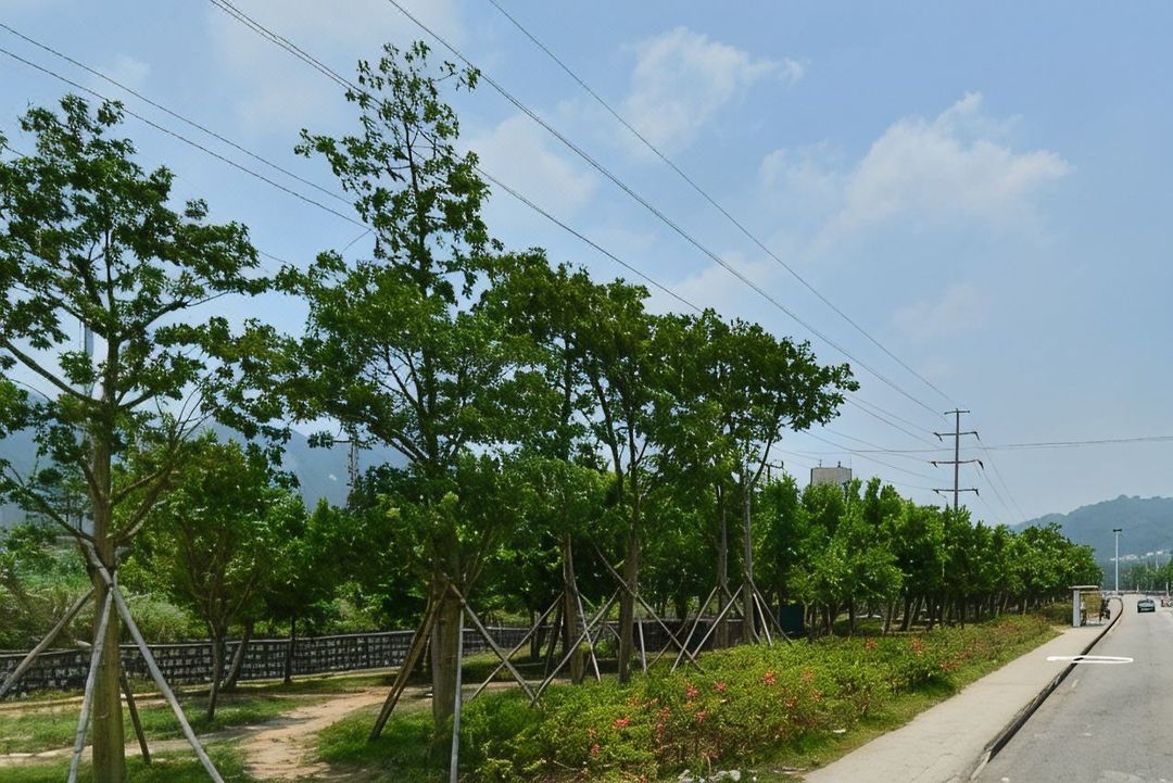 珠海京华苑酒店(北京师范大学珠海校区店)
