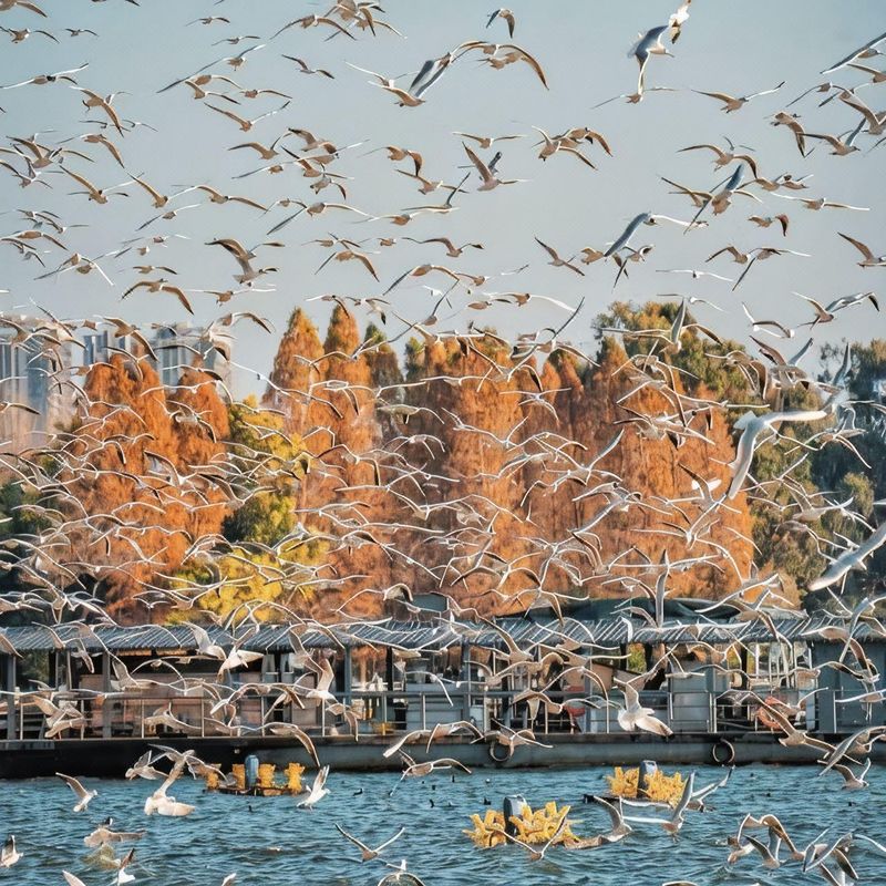 美豪丽致酒店(昆明省博物馆海乐世界店)