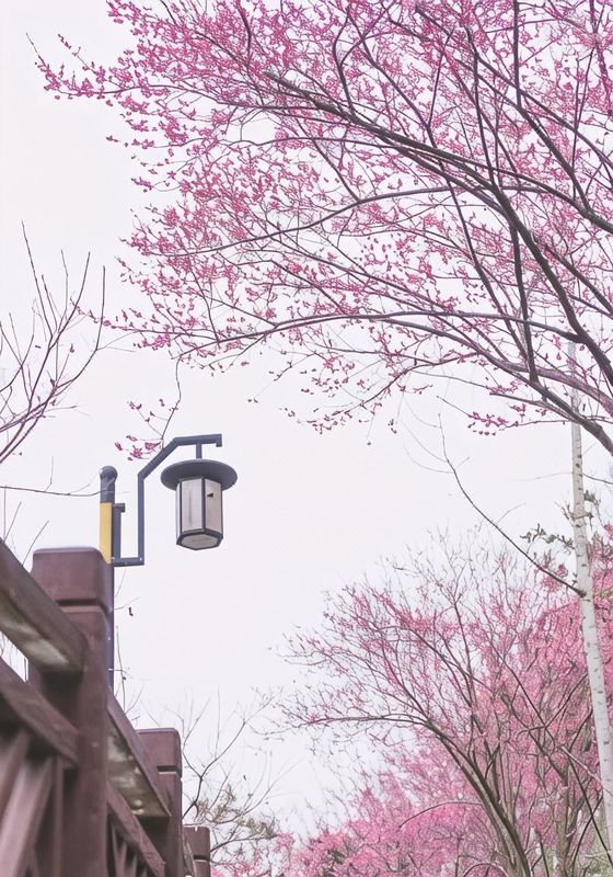 忠县忠义大酒店
