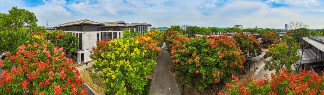 绍兴雷迪森维嘉酒店(绍兴大学鲁迅故里店)