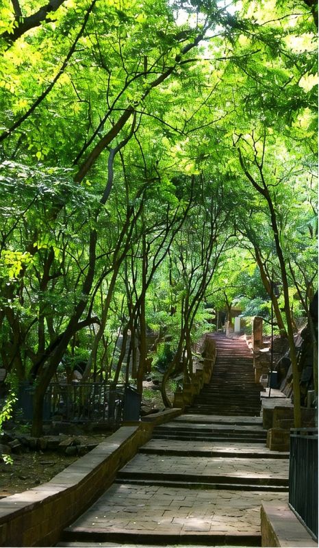 云居安晏酒店(石家庄井陉苍岩山店)