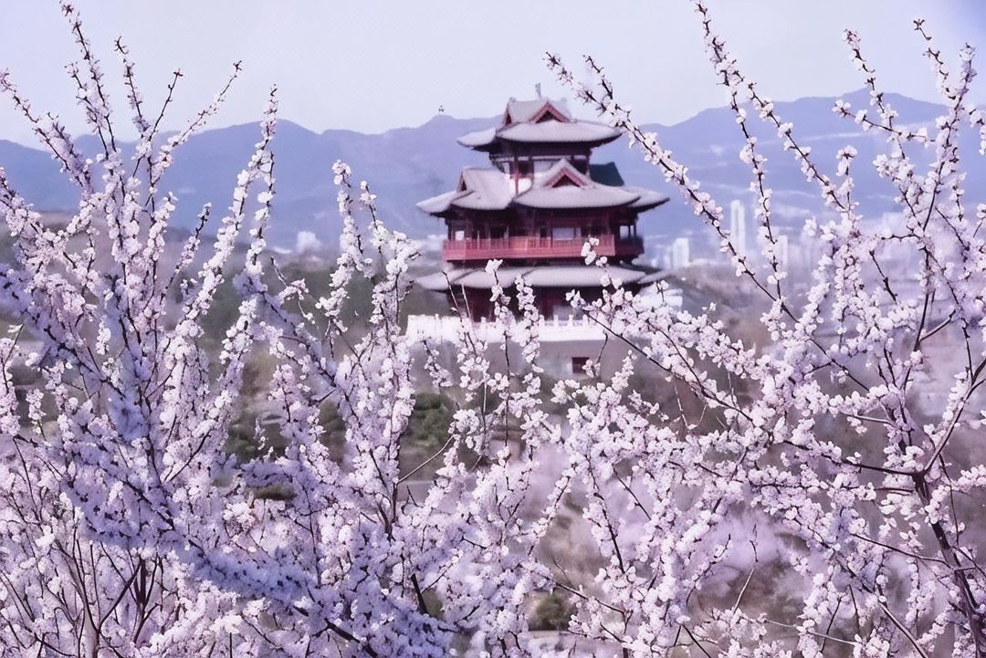 北京园博大酒店