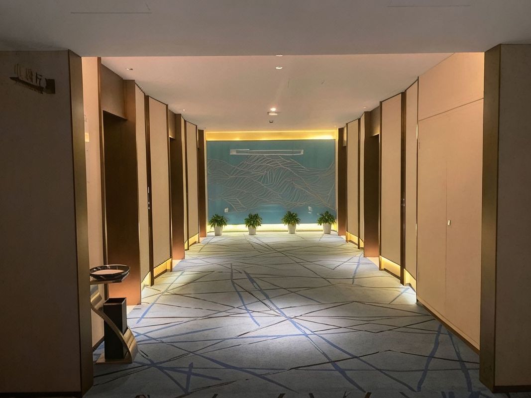 杭州未来科技城雷迪森酒店