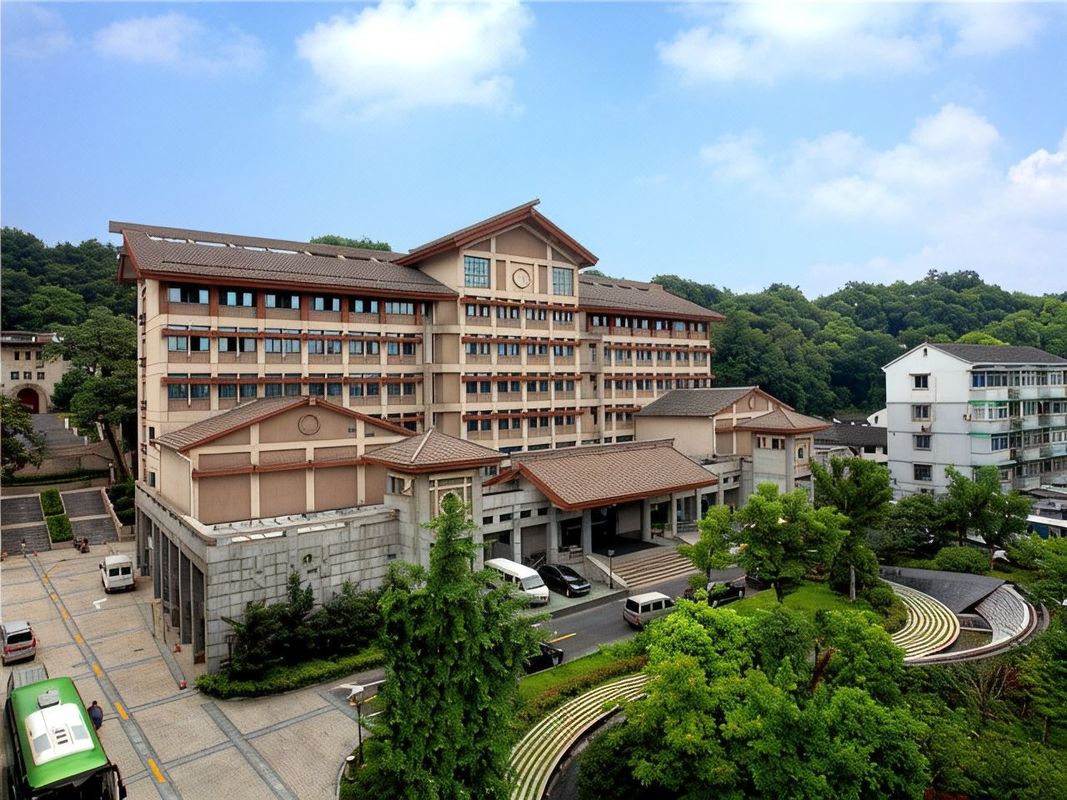 杭州西湖湖滨河坊街丽正门酒店