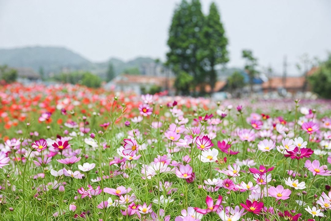 宁波富邦荪湖山庄(慈城古县城店)
