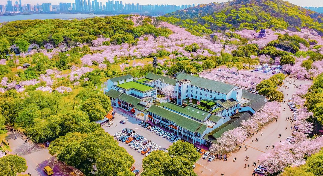无锡樱花山庄(太湖鼋头渚风景区店)