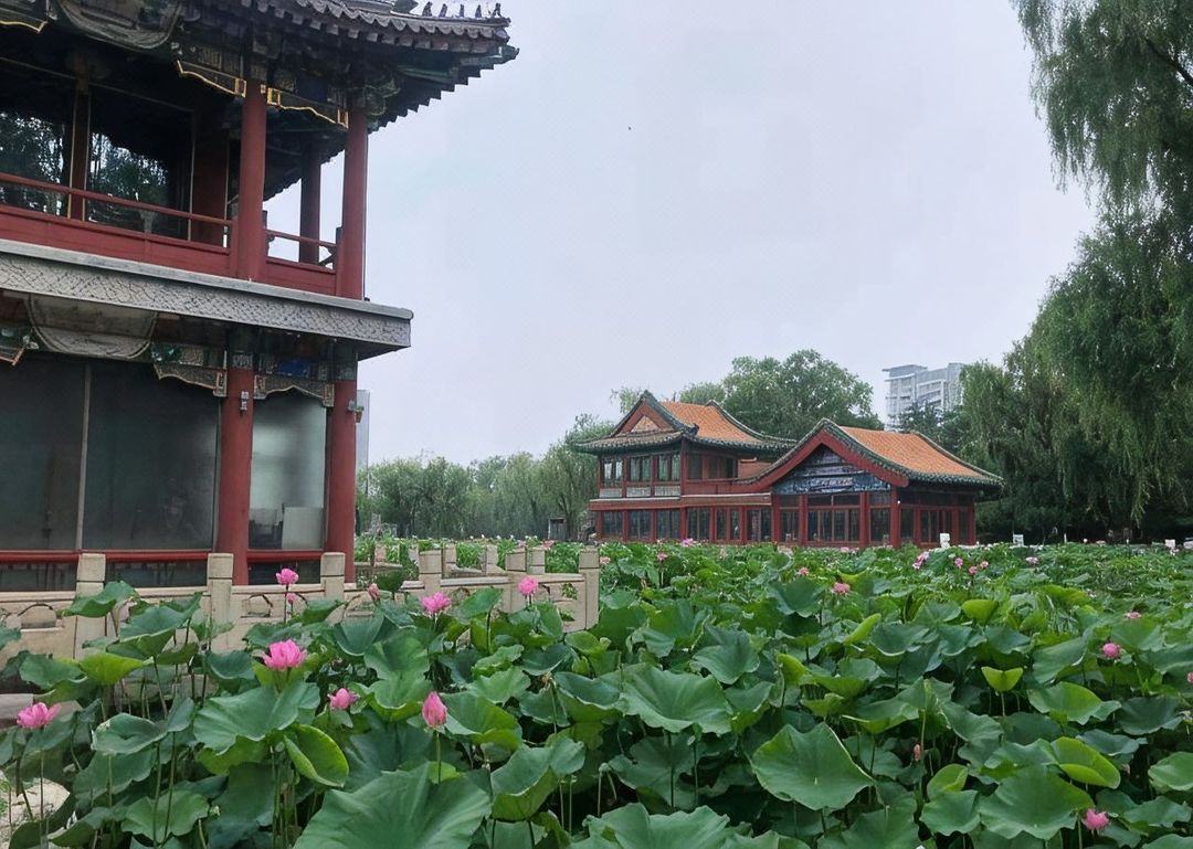 北京劲松广渠门外地铁站漫心酒店