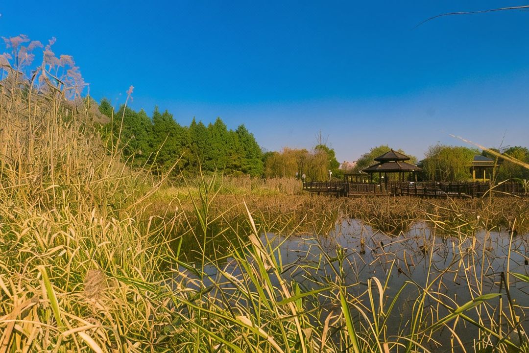 桔子水晶上海宝山大场酒店