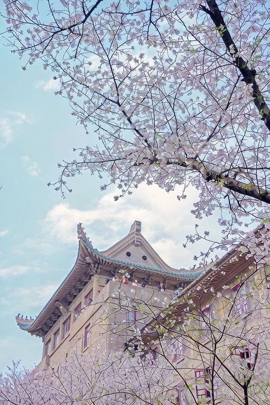 维也纳国际酒店(武汉黄鹤楼彭刘杨地铁站店)