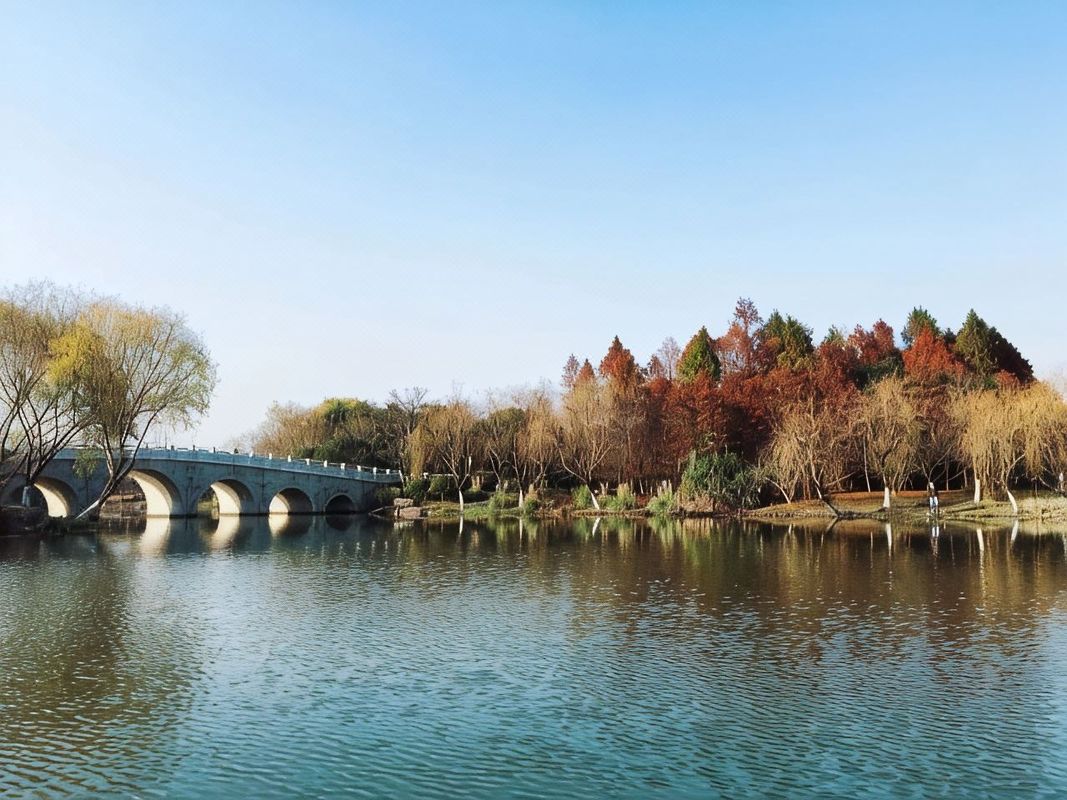 桔子水晶上海宝山大场酒店