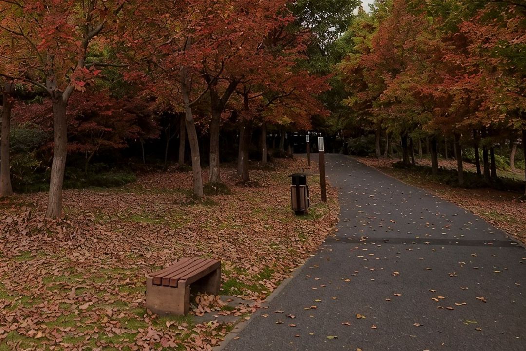 桔子水晶上海宝山大场酒店