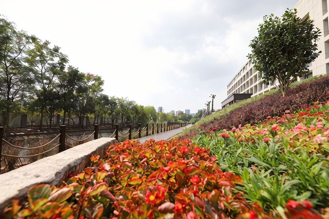 江苏海院世纪缘国际邮轮酒店(南京江宁大学城交院地铁站店)
