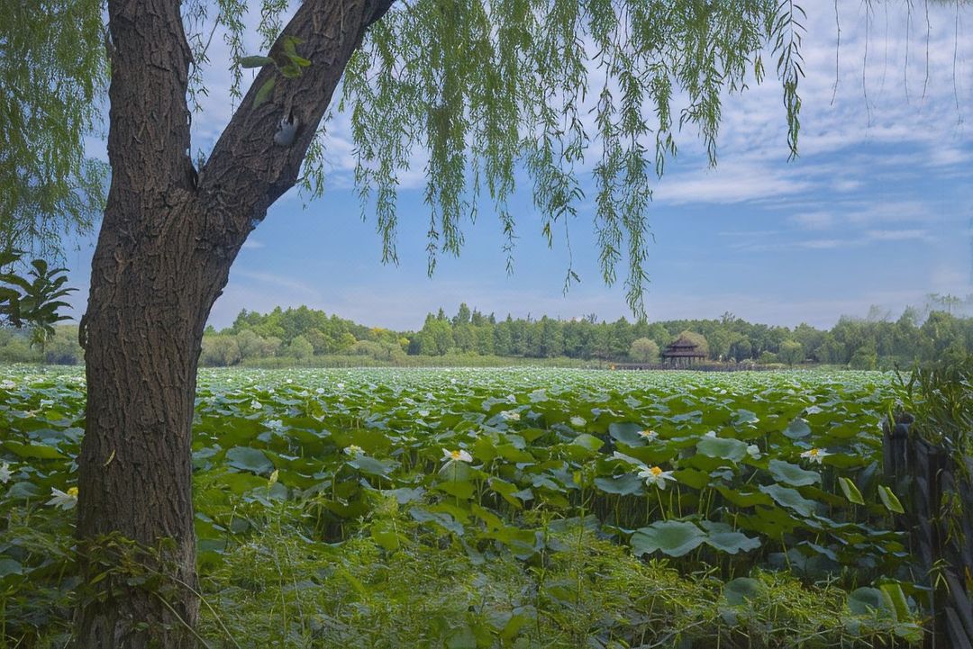 上海衡山北郊宾馆