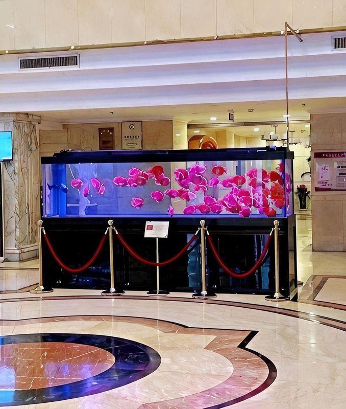 金轮宾馆(兰州火车站环球中心店)