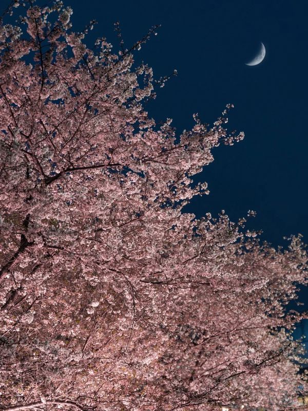 枕畔&middot;华廷|未来智能&middot;S睡眠星球设计师观景酒店(上海松江站店)