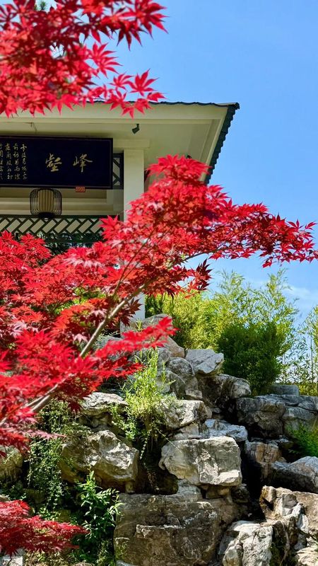 秦皇岛燕大闲庭四艺酒店(金梦海湾店)