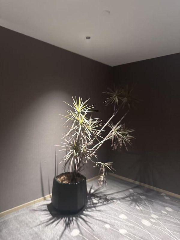 北京东直门左家庄地铁站亚朵S酒店