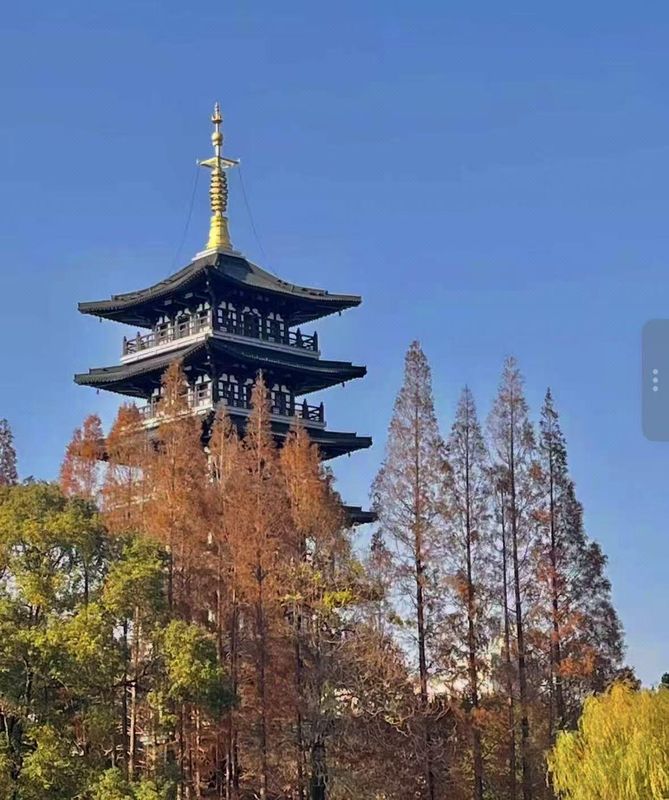 苏州花惜美拾酒店(吴江黑曜万亚广场店)