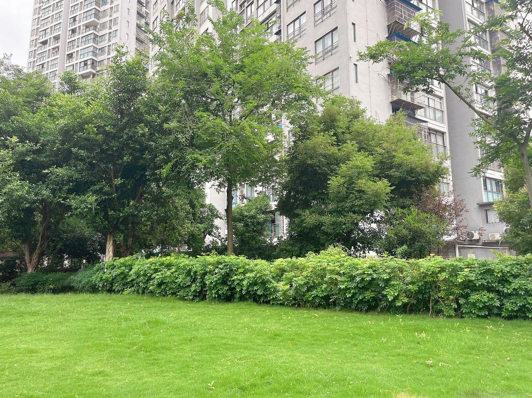 重庆武隆荣融金科大酒店
