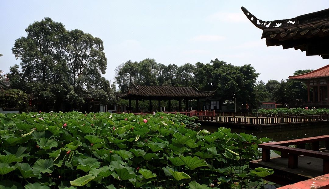 阳光成都国际会议中心(成都高新西区电子科大店)