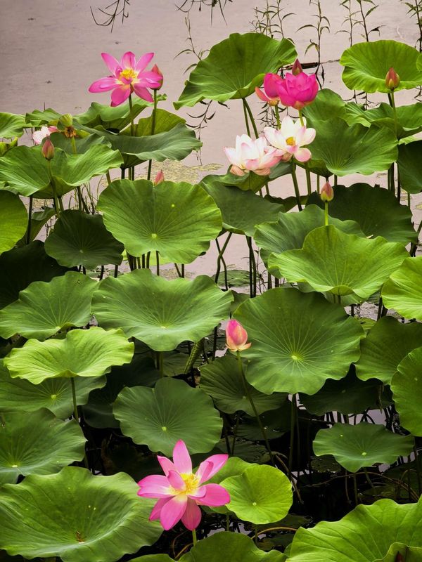 北京天湖会议中心