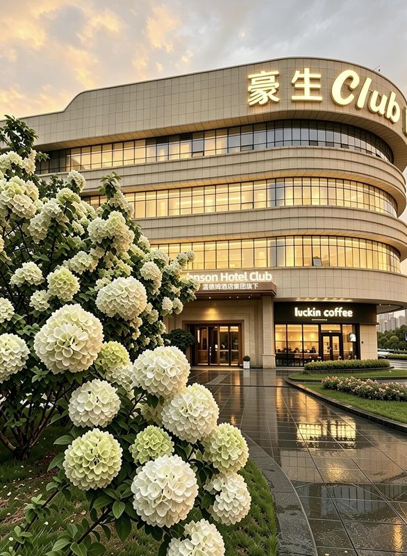 长沙豪生HOWARD JOHNSON Club酒店(长沙南站国际会展中心店)