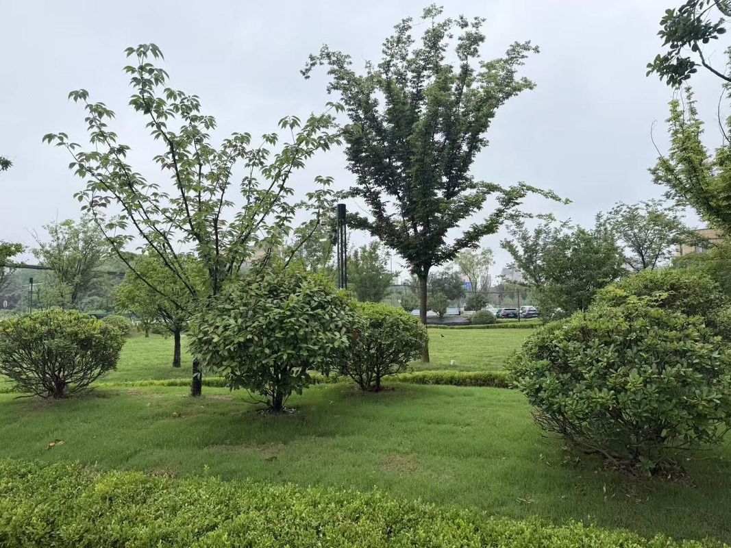 南京富悦国际酒店(禄口机场店)