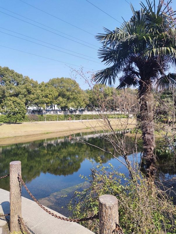 城际上海徐家汇中心酒店