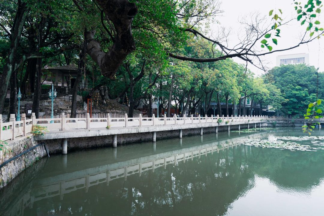 石龙名冠金凯悦酒店(东莞火车站店)