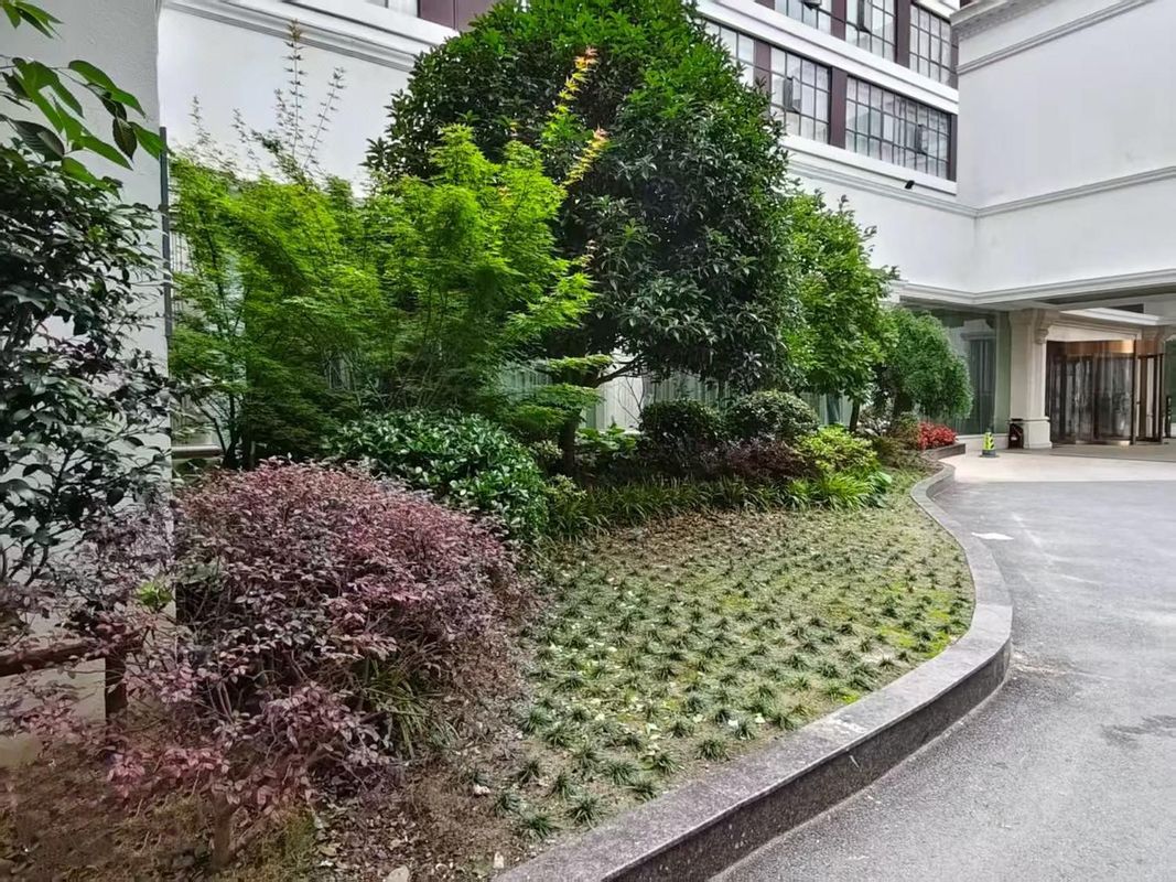上海浦东丽呈华廷酒店