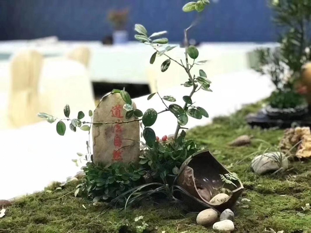 杭州太虚湖假日酒店