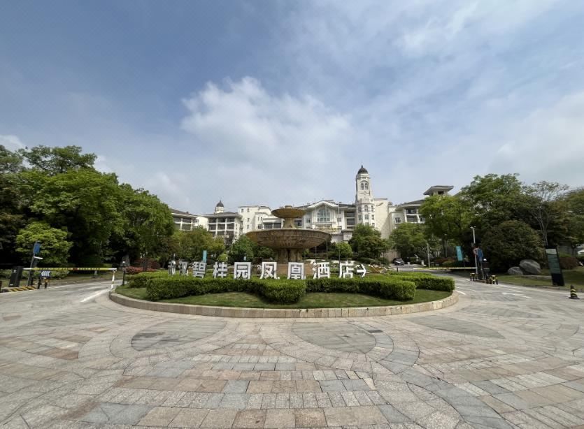 武汉碧桂园凤悦凤凰酒店
