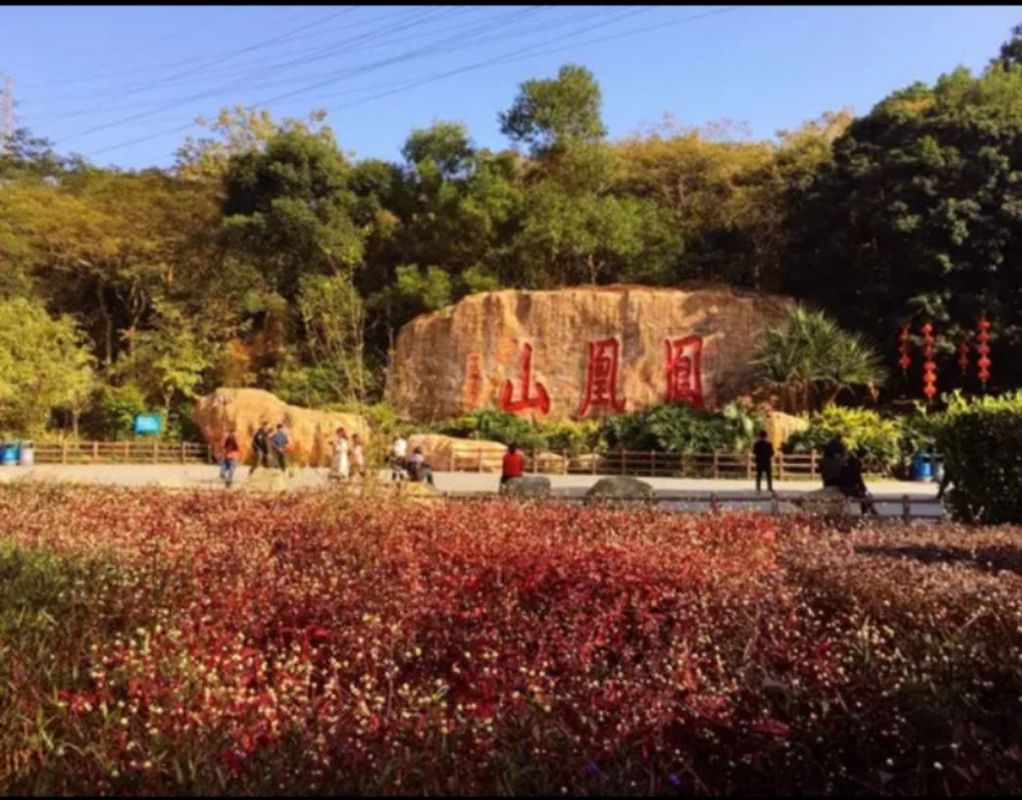 深圳福海国际会展中心亚朵酒店