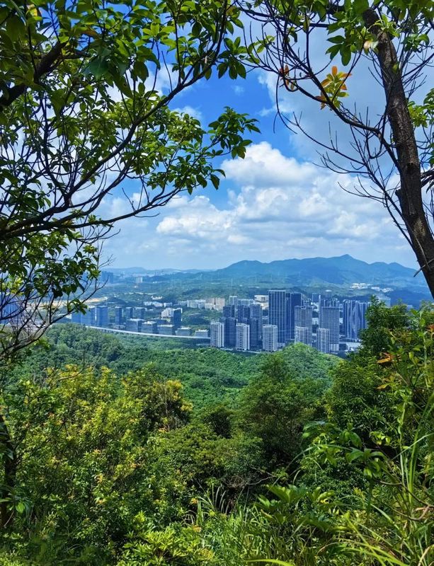 深圳南山美爵酒店