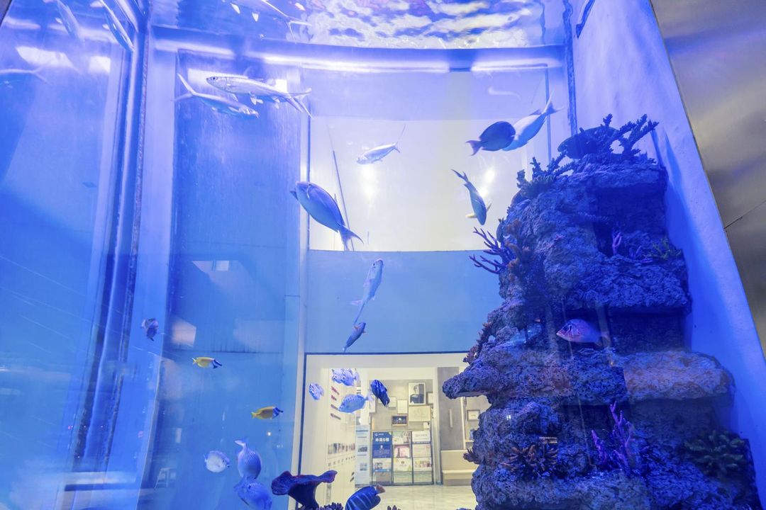 唯庭酒店(上海体育场交通大学徐汇校区店)
