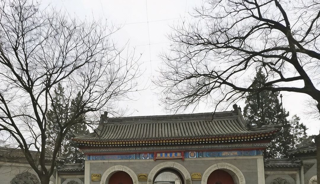 北京中土大厦酒店(西站店)