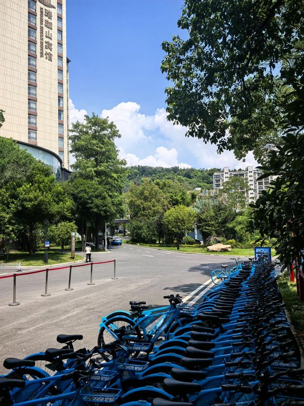 珞珈山宾馆(武汉大学东湖店)