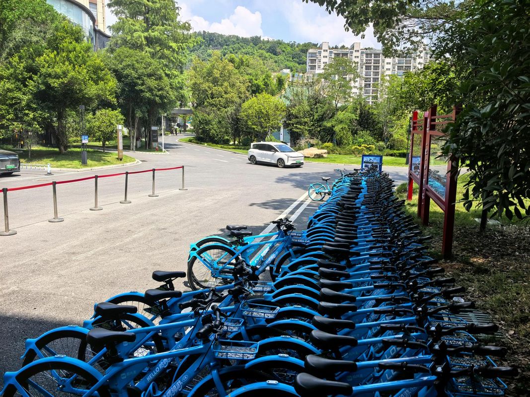 珞珈山宾馆(武汉大学东湖店)
