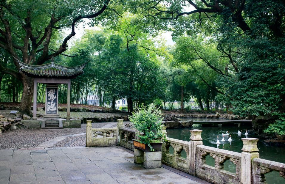 绍兴雷迪森维嘉酒店(绍兴大学鲁迅故里店)