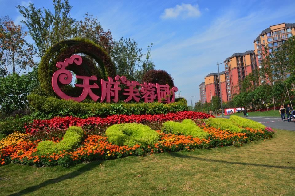 成都悠泊豪生荟酒店(双流国际机场店)
