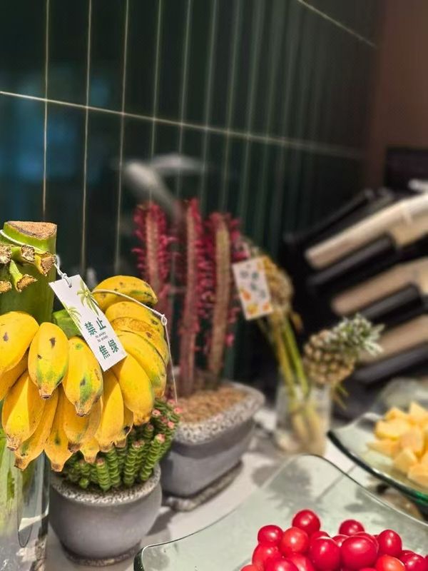 武汉二妃山庄湖畔花园酒店(光谷生物城科技会展中心店)