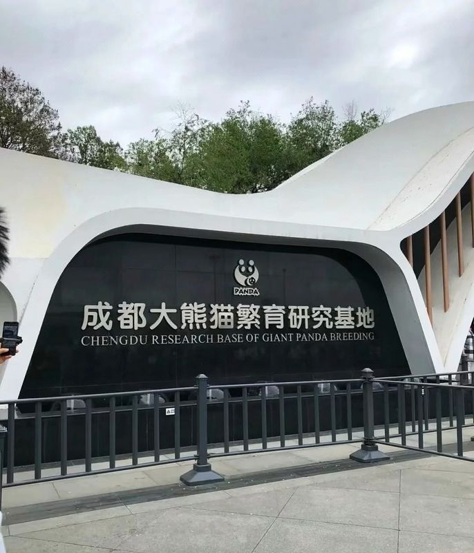 熊猫很困酒店(成都万象城店)