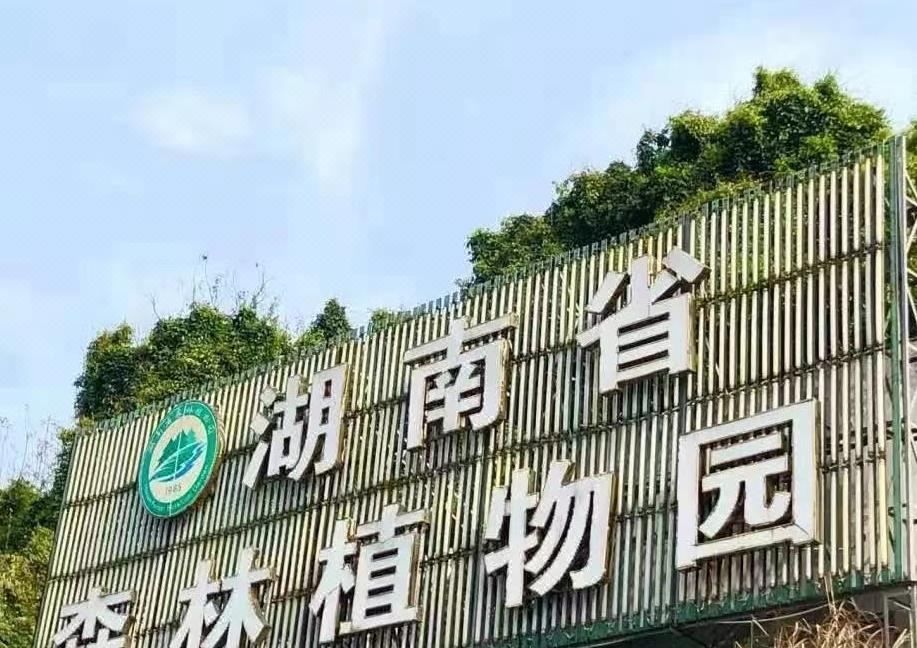 长沙以楼酒店