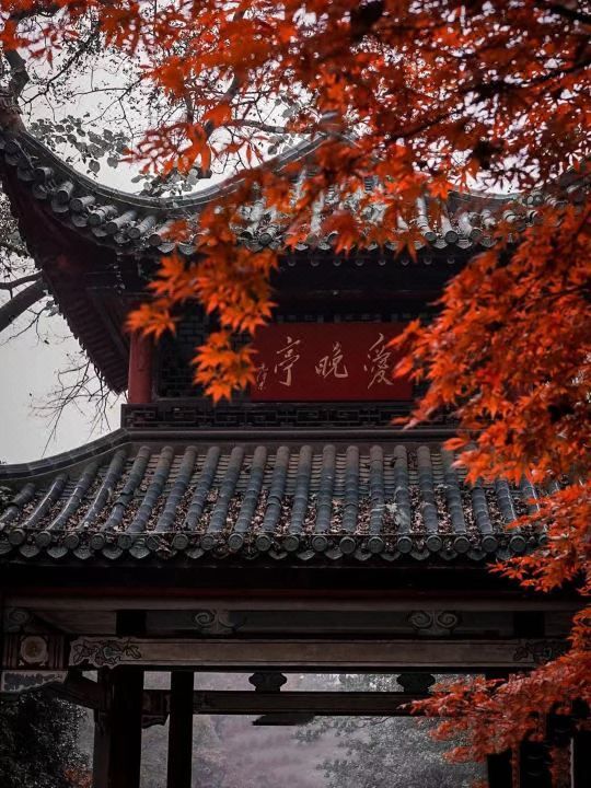 悦致酒店(长沙贺龙体育馆黄土岭地铁站店)
