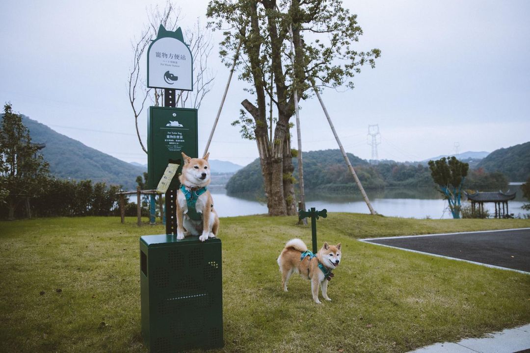 绍兴东山大观酒店