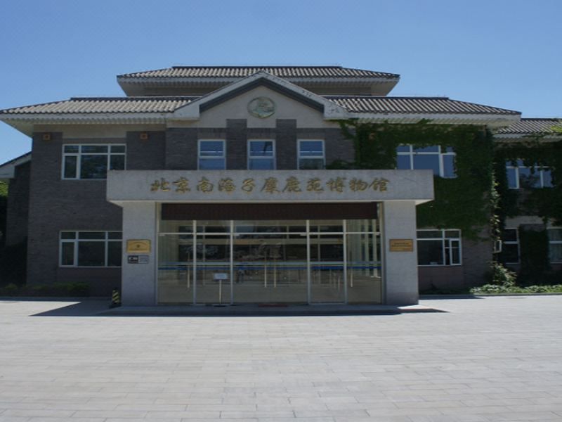 黎明星球酒店(北京亦庄京东总部店)