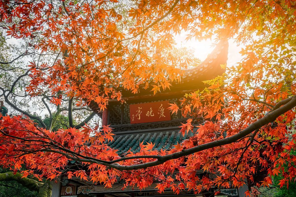 长沙芙蓉中路古开福寺江景城际酒店
