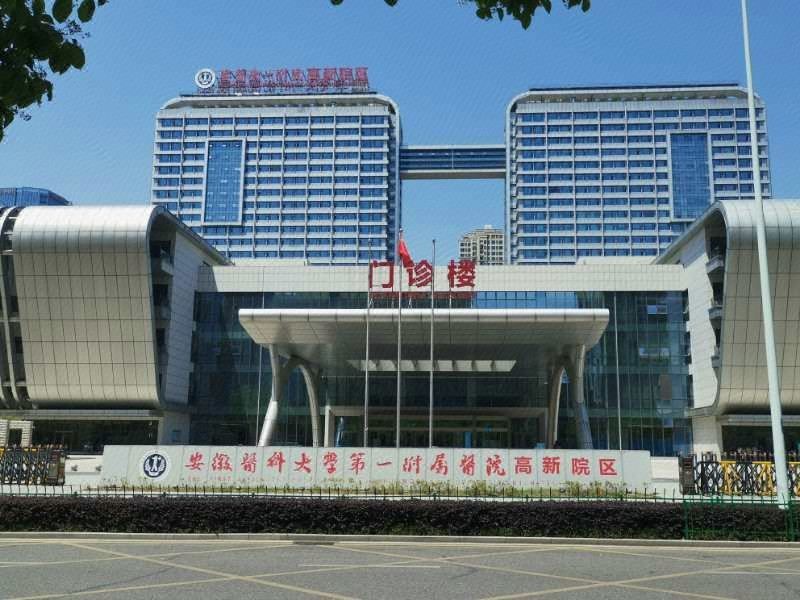 合肥高新智选假日酒店
