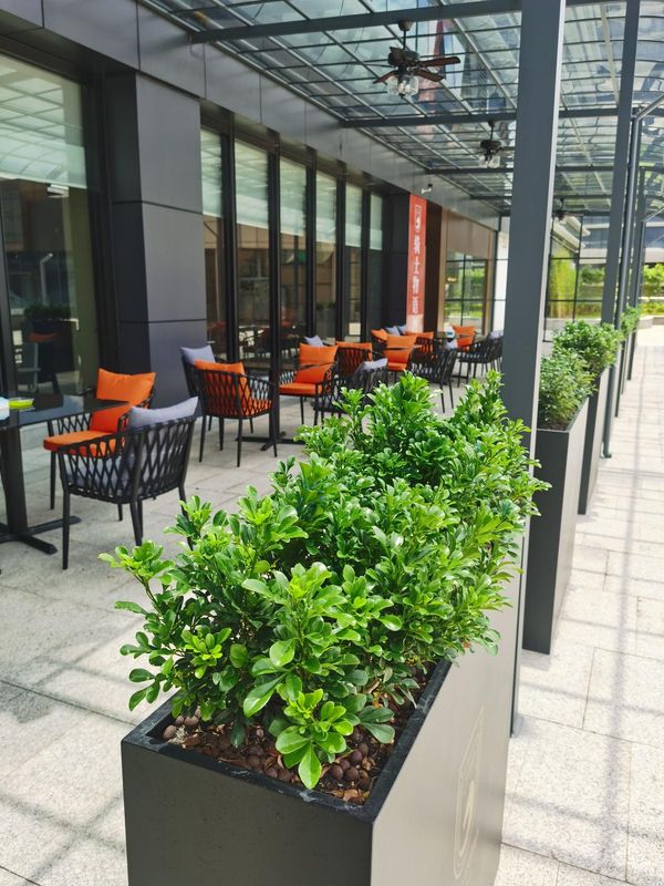广州健康方舟骑士物语酒店(东沙地铁站店)