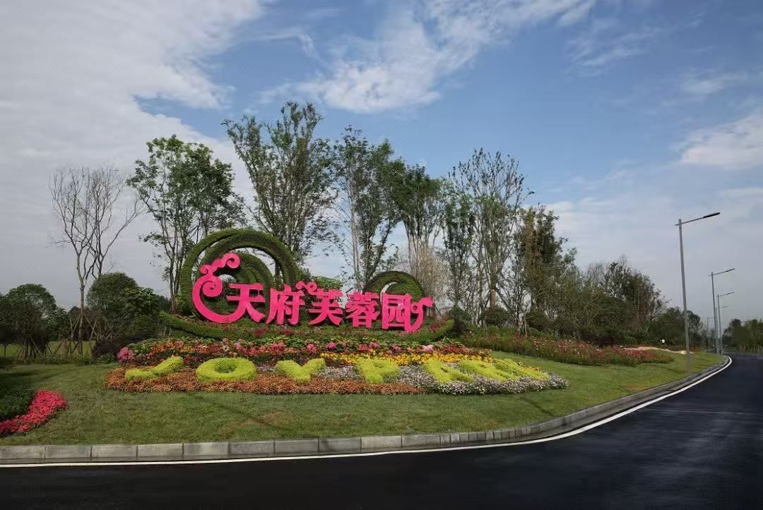 戴尔蒙酒店(成都双流机场双凤桥地铁站店)
